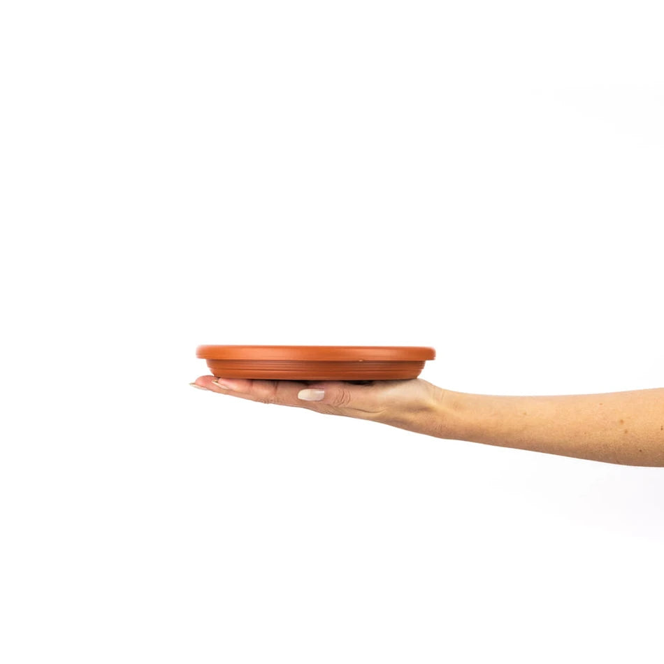 Prato para Vaso Redondo Sanremo 17cm em Plástico com Proteção UV | Ref. 515P/93