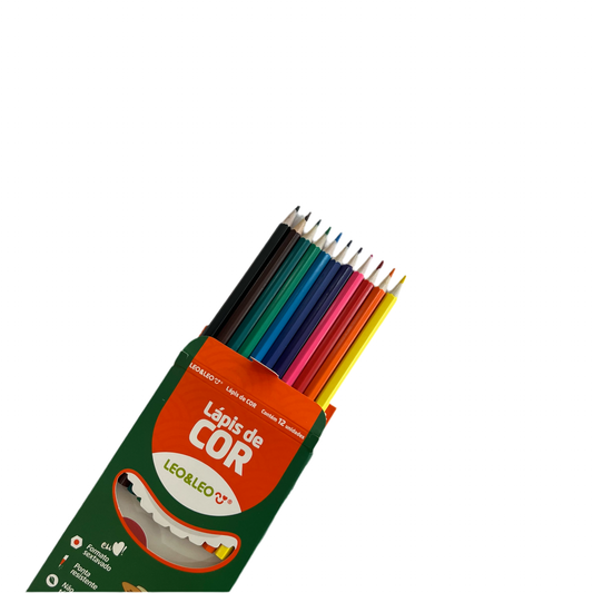 Lápis de Cor 12 Cores Sextavado Flex | Leo&Leo 4527