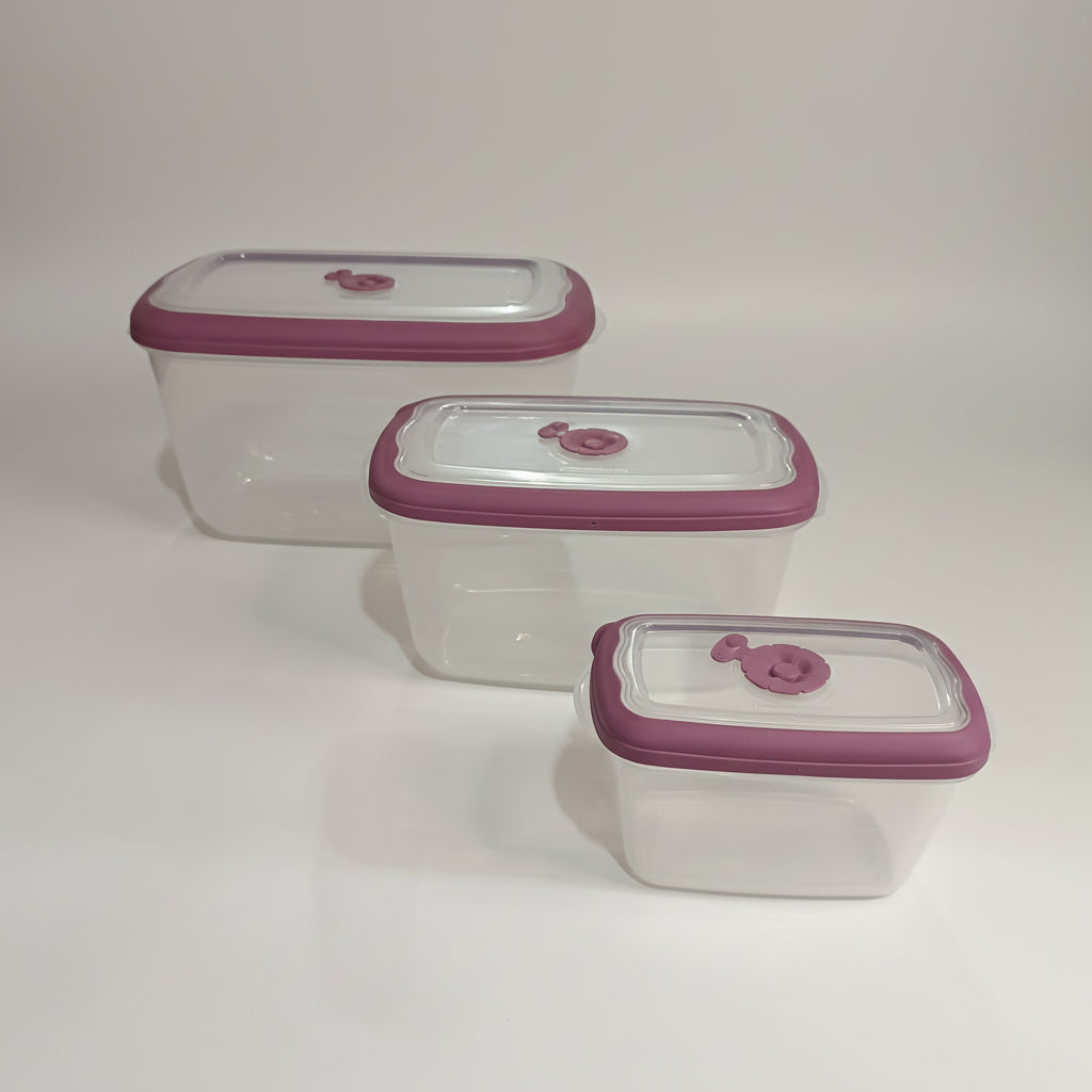 Conjunto 3 Potes Retangulares Sanremo Linha Flor – 700 ml, 2,3 L e 4,6 L | Tampas Herméticas, Válvula p/ Micro-ondas, Livre de BPA
