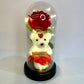 Rosa e Urso na Cúpula com LED | Art House