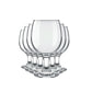Conjunto 6 Taças Gallant Vinho 250ml Nadir Vidro Cristalino