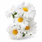 Buquê de Gérbera Artificial Branca com 7 Flores – 31 cm | Florarte