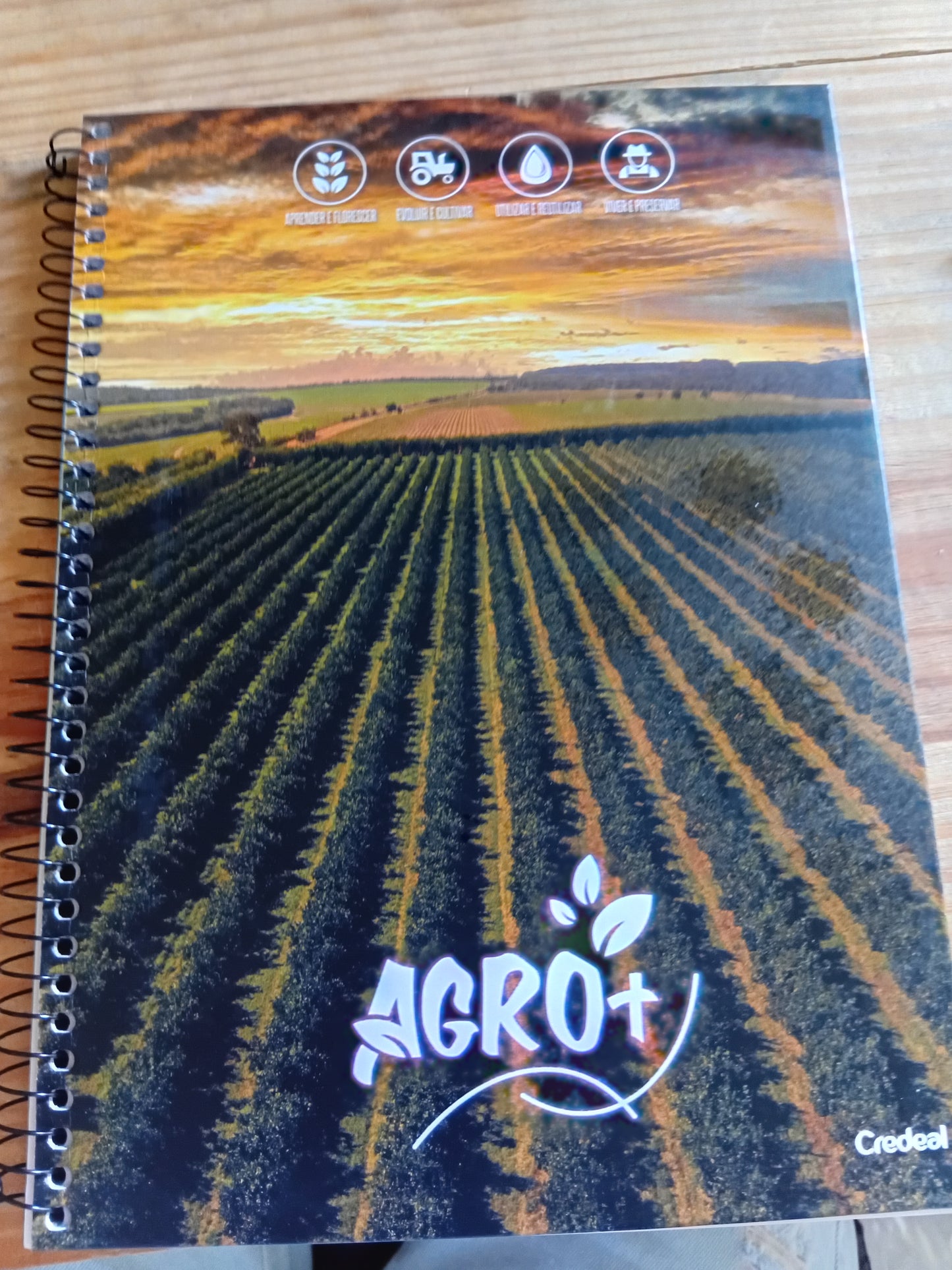 Caderno Agro+ | Universitário Capa Dura 1 Matéria 80 Folhas | Credeal