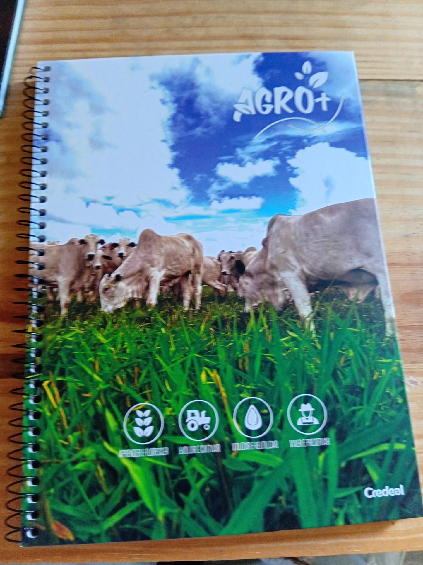 Caderno Agro+ | Universitário Capa Dura 1 Matéria 80 Folhas | Credeal