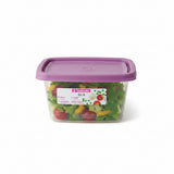 Pote Retangular Plástico Sanremo Linha Fácil 580ml — Hermético, Sem BPA, Micro-ondas e Freezer