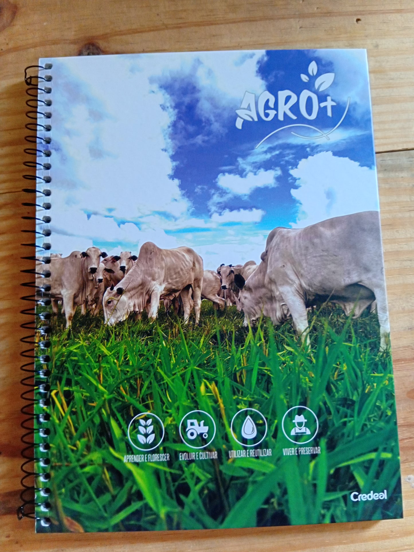 Caderno Agro+ | Universitário Capa Dura 1 Matéria 80 Folhas | Credeal